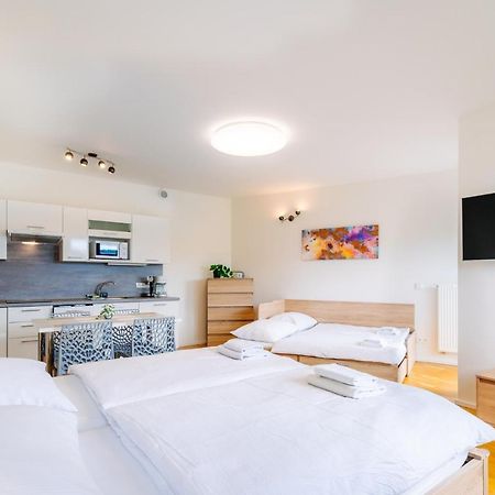 Horsky Apartman Temari 12 Klinovec Loučná pod Klínovcem Buitenkant foto