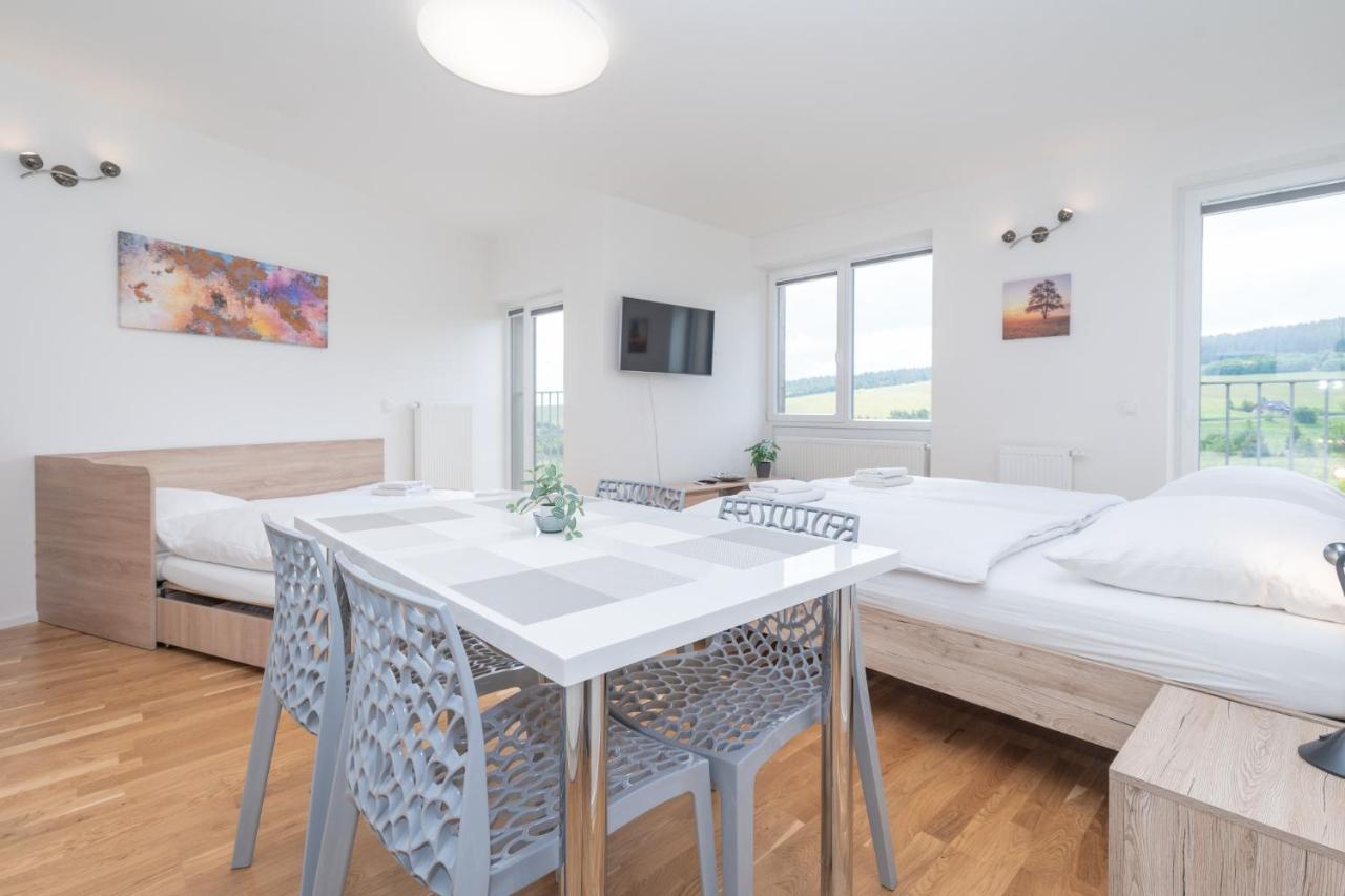 Horsky Apartman Temari 12 Klinovec Loučná pod Klínovcem Buitenkant foto