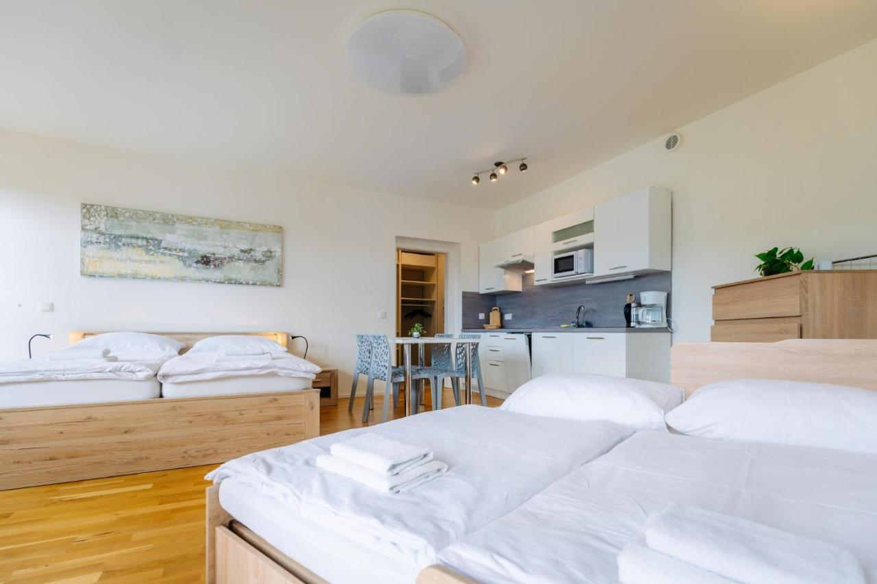 Horsky Apartman Temari 12 Klinovec Loučná pod Klínovcem Buitenkant foto