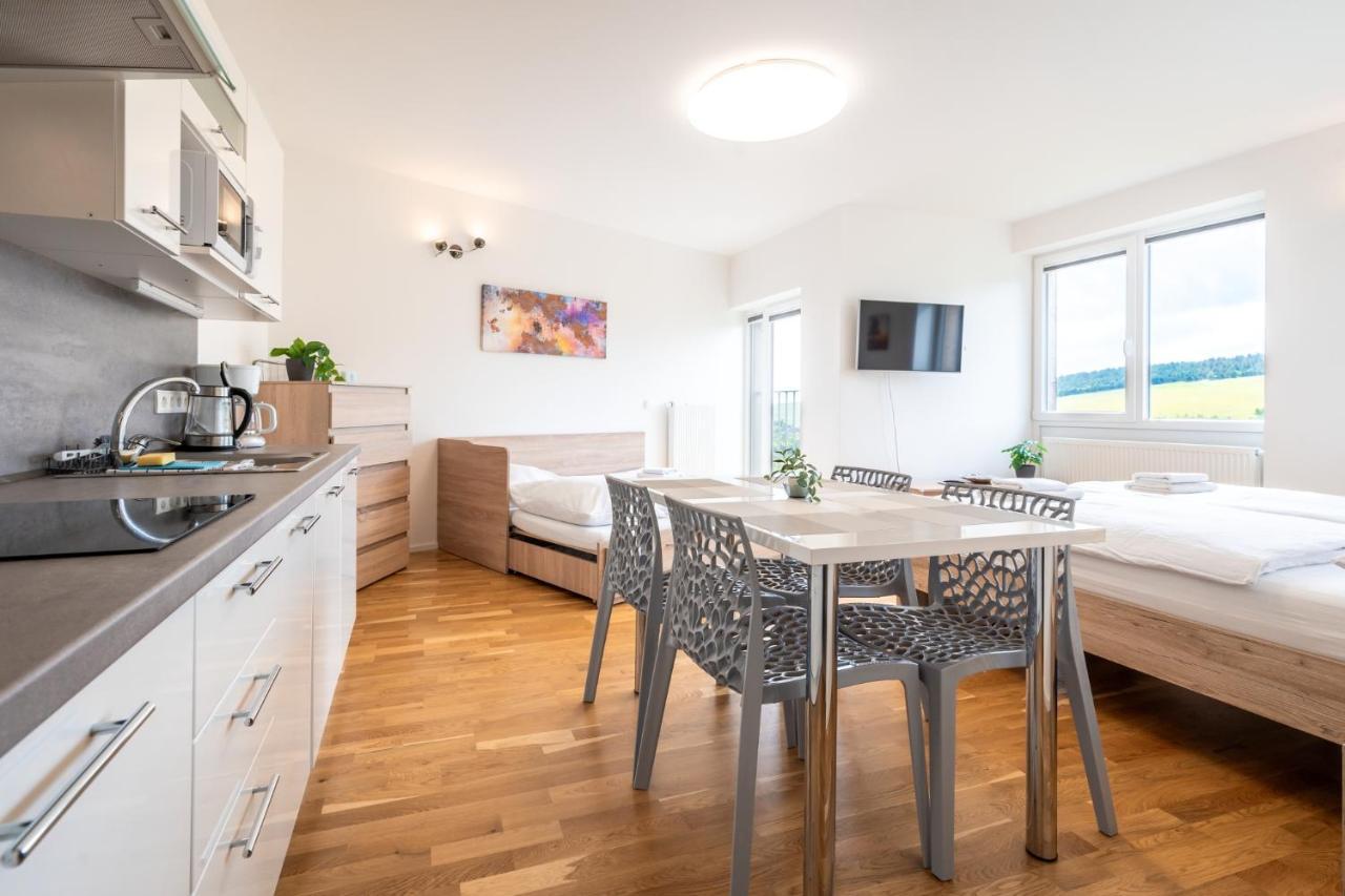 Horsky Apartman Temari 12 Klinovec Loučná pod Klínovcem Buitenkant foto